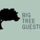 Big Tree Guest House & BB
